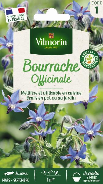 Aromatiques - Bourrache Officinale - PACKAGING_RECTO